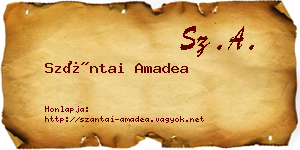 Szántai Amadea névjegykártya