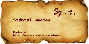 Szántai Amadea névjegykártya